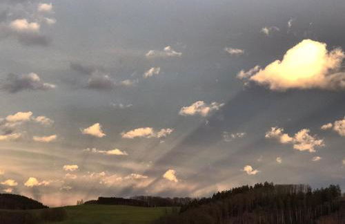 Ferienwohnung zwischen Wald und See - Foto 13