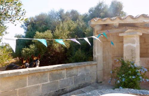 Casa de Campo cerca de Ciutadella con piscina - Foto 20