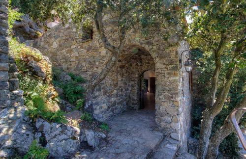 Le Campu Latinu - Foto 17