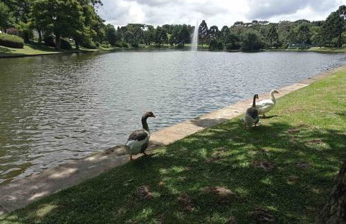 Suíte Superior no Laje de Pedra (1003) - Foto 15