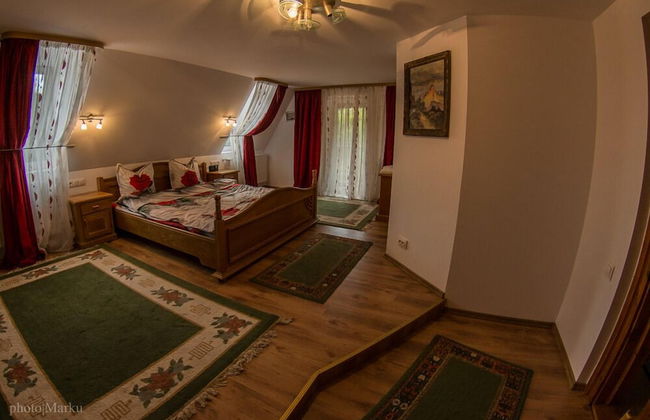 Vila Flora Viseu de Jos - Foto 6