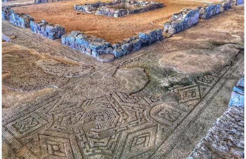 Solar Verbena - Foto 19