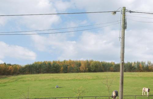 Colliery Cottage - Foto 10