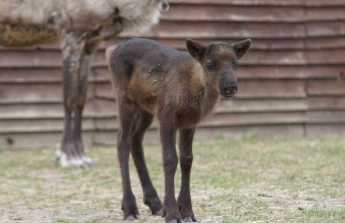 Stunning 16th Century Farmhouse in Suffolk - Foto 34