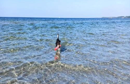 Cozy Holiday Home in Hohenkirchen near Baltic Sea - Foto 61