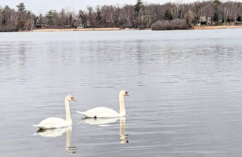 4 br Lakehouse, Fire Pit, King Beds, Bunk room - Foto 28