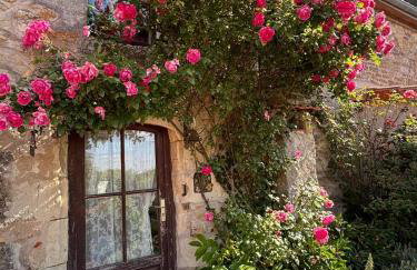 Domaine les roses du vieux chai - Foto 14