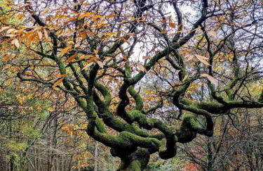 The Burnside Apartment - Foto 26