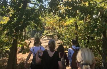 Charmante Ferienwohnung in Mastershausen/Hunsrück - Foto 11