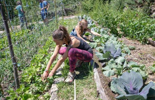 Les chambres de la ferme de chalas - Foto 31