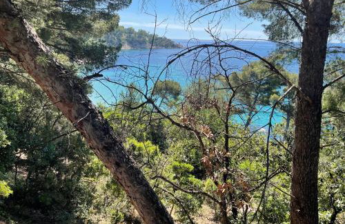 Location appartement au lavandou - Foto 11