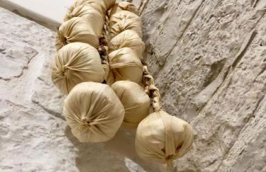 L'Orecchietta - Foto 7