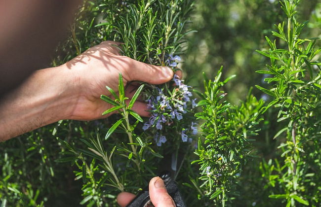 I Cacciagalli - Photo 47