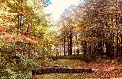 Catskills Enchanted Forest - Foto 3
