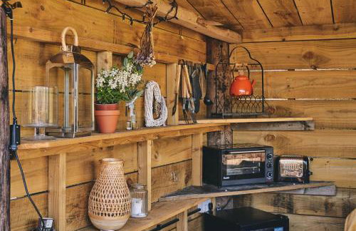 Curious Calf - Foto 14