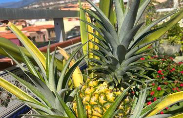 Ocean View Haven, Perla Del Mar - Foto 24