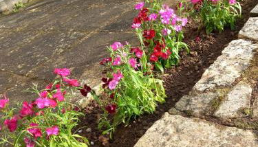 Le Logis de Quer'Breizh - Foto 4, Garden