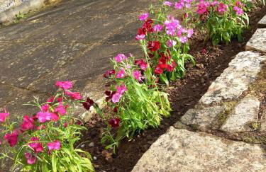 Le Logis de Quer'Breizh - Foto 4