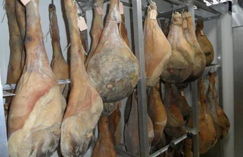 Agriturismo Terra di Michelangelo - Foto 37