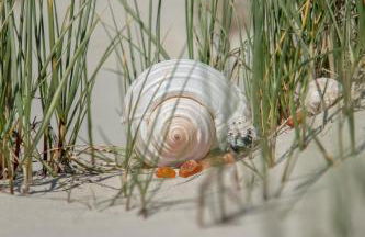 Appartement Bilbao - Foto 22