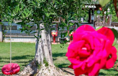 Cascina Graziosa - Foto 39