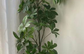 SKY Apartment Pero - Foto 54