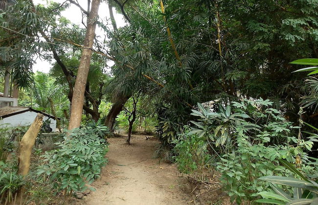 Campement Kunja kafountine - Foto 11