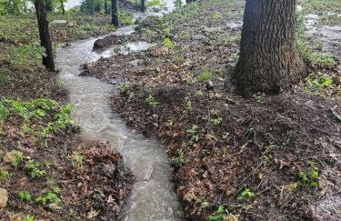 1 Large Bedrooms Estate Pool - Foto 21