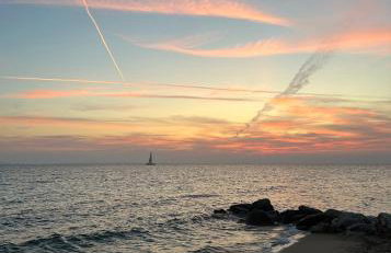 Artion Alfa Luxury - Photo 49