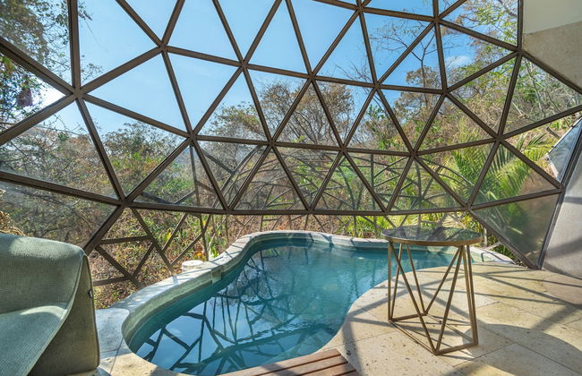 Bosque Geométrico - Foto 78