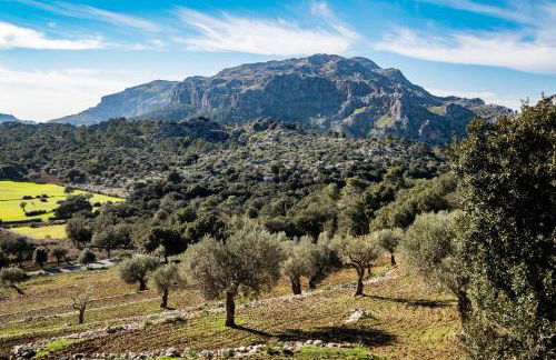 Agroturismo Son Alzines - Foto 83