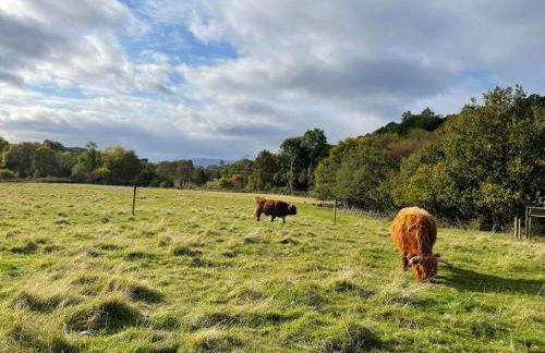 Riverview Lodge & Luxury Hot Tub - Foto 16