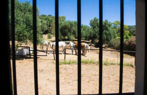 Casa Abanto - Photo 25