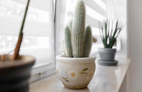 Ferienoase Waldklang - Foto 9