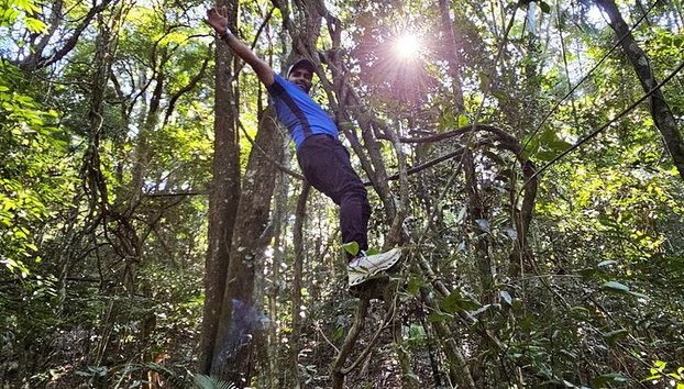 Visita guiada al bosque de Tijuca para grupos pequeños - Foto 5