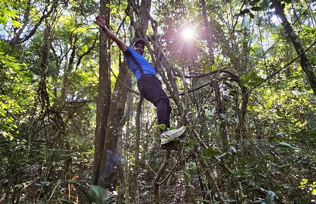 Visita guiada al bosque de Tijuca para grupos pequeños - Foto 5