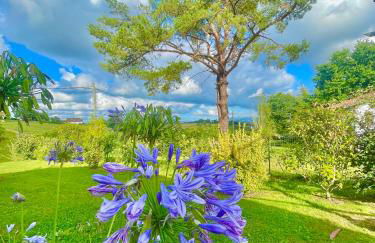 Le jardin d'Opporak - Jardin privé avec vue montagne - Foto 23