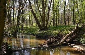 Ferienwohnung Gisela - Foto 13
