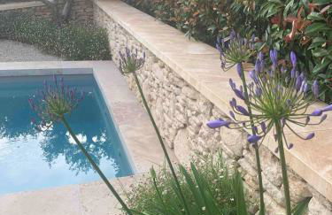 Le Cabanon de Livia avec piscine privée - Foto 44