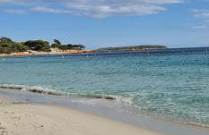 Studio pour 2 personnes à 700m de la plage de palombaggia - Foto 6