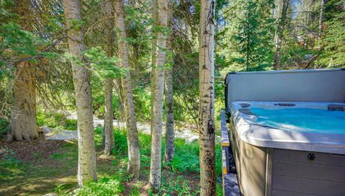 Solitude Mountain Cabin Creek-Side View and Hot Tub - Foto 3