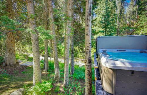 Solitude Mountain Cabin Creek-Side View and Hot Tub - Foto 3