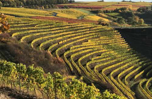 Ferienwohnung Inga - Foto 36