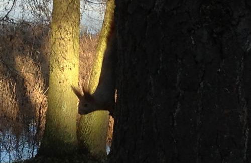 Röblinseeterrassen - Foto 66