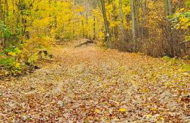 Stallgeflüster Lodge - Foto 10