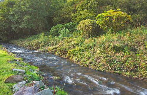 Bratton Mill Farmhouse Bratton Fleming - Foto 37
