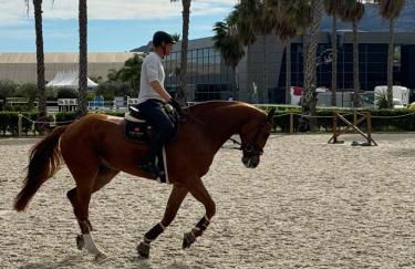 Chalet Centro Encuestre MET OLIVA NOVA - Foto 42