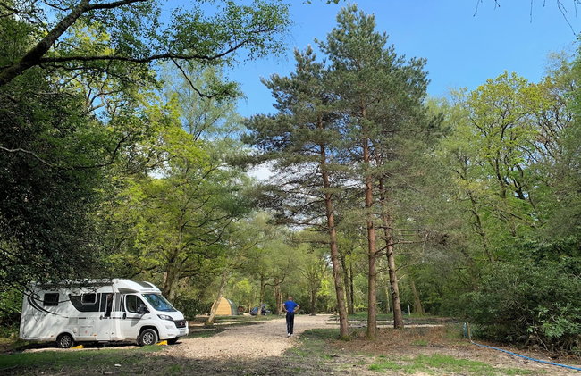 Nightjar Cabin at Cloudshill Glade - Foto 16