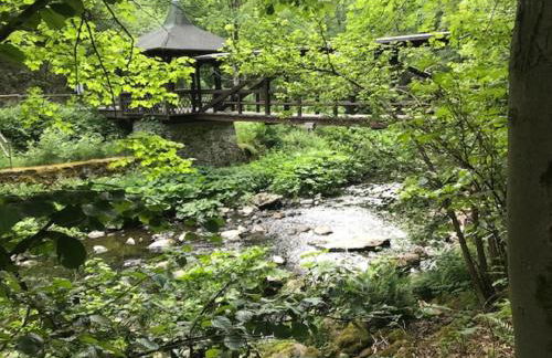 Tolle Ferienwohnung mit Loggia in Schauenstein 100qm bei Hof an der Saale Frankenwald - Foto 58