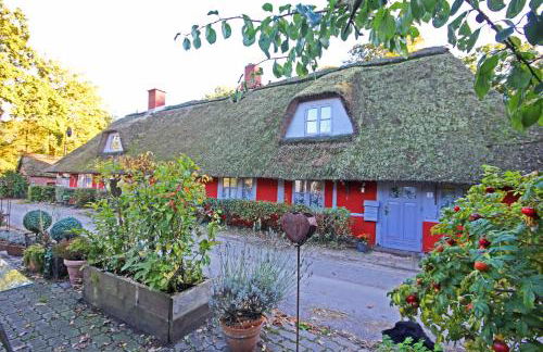 Wegekaten - Ferienwohnungen unter Reet - Foto 66